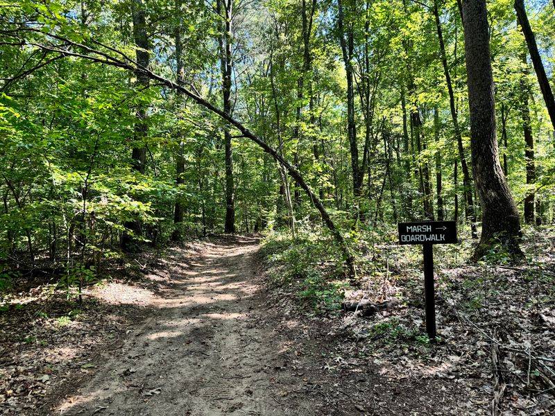 Glendening Nature Preserve and Its 622 Acres