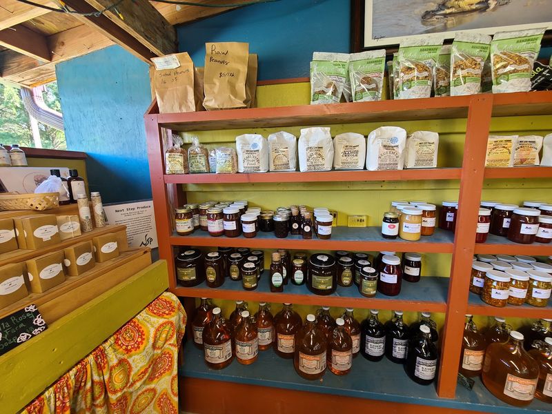 Gourmet Treats And Local Food Vendors To Refuel