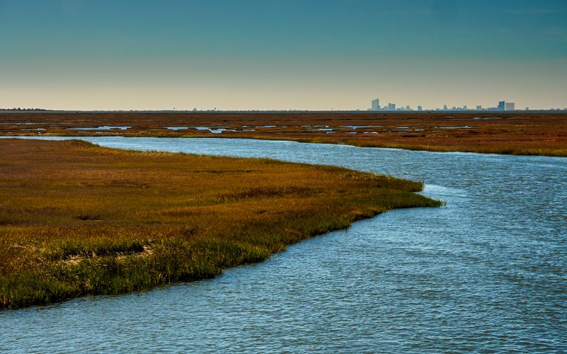 Great Bay Boulevard Wildlife Management Area, Little Egg Harbor Great Bay Boulevard Wildlife Management Area, Little Egg Harbor