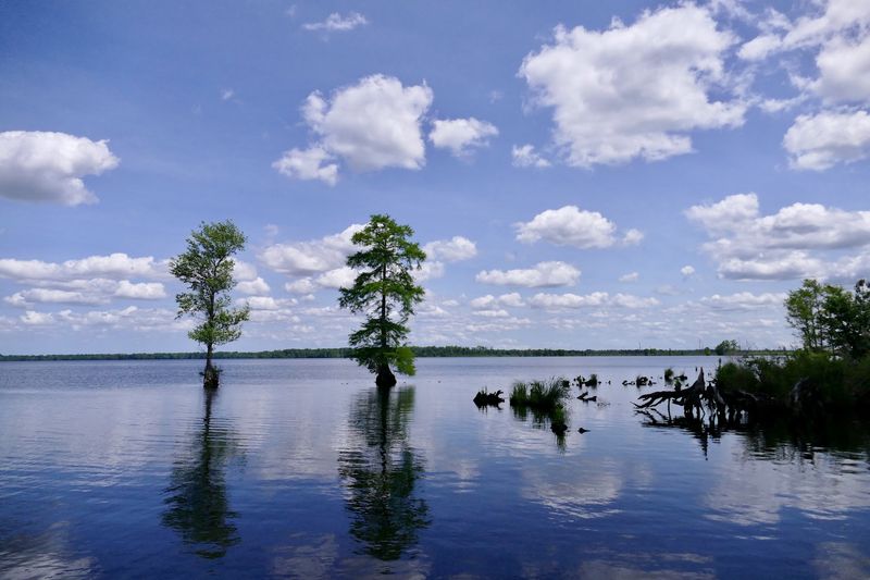Great Dismal Swamp