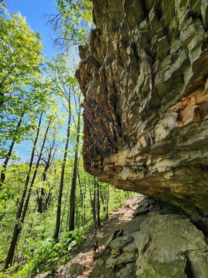 Green Mountain Nature Preserve above Huntsville