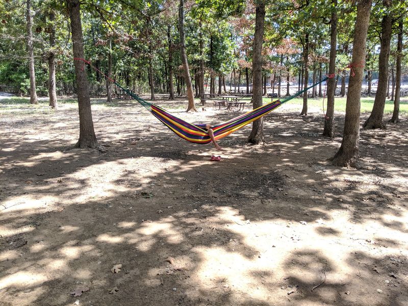 Group Shelter, Playground, And Family Logistics