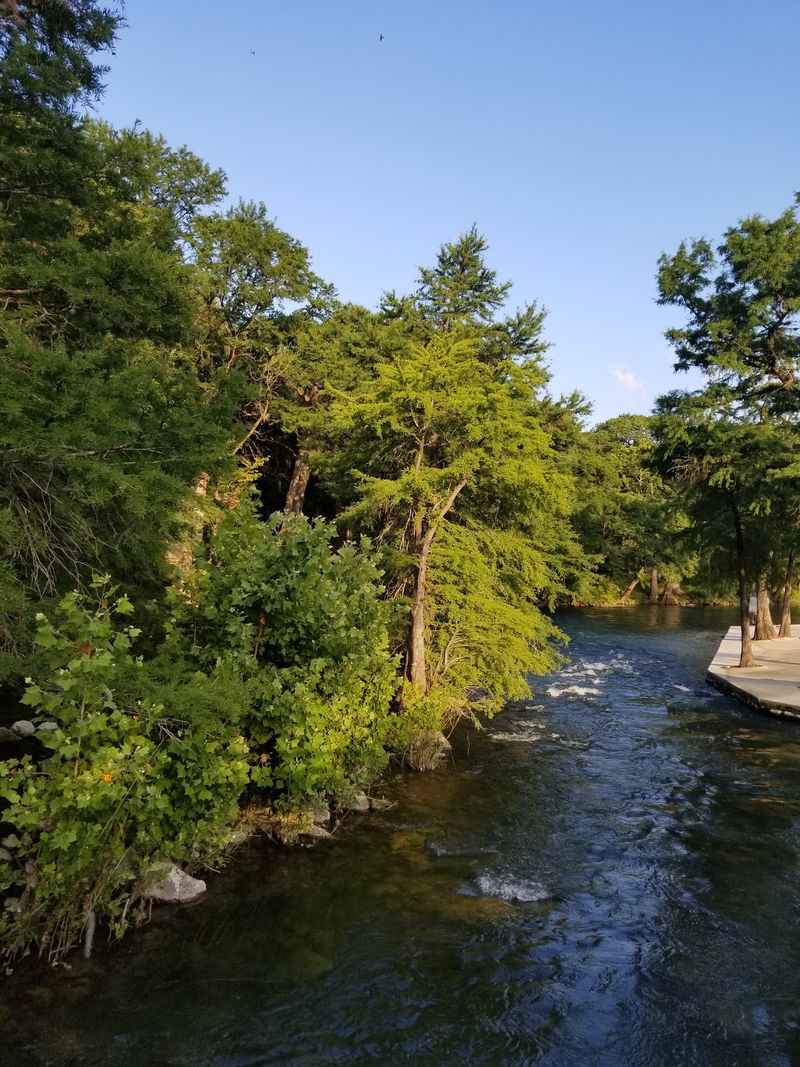 Gruene Gruene