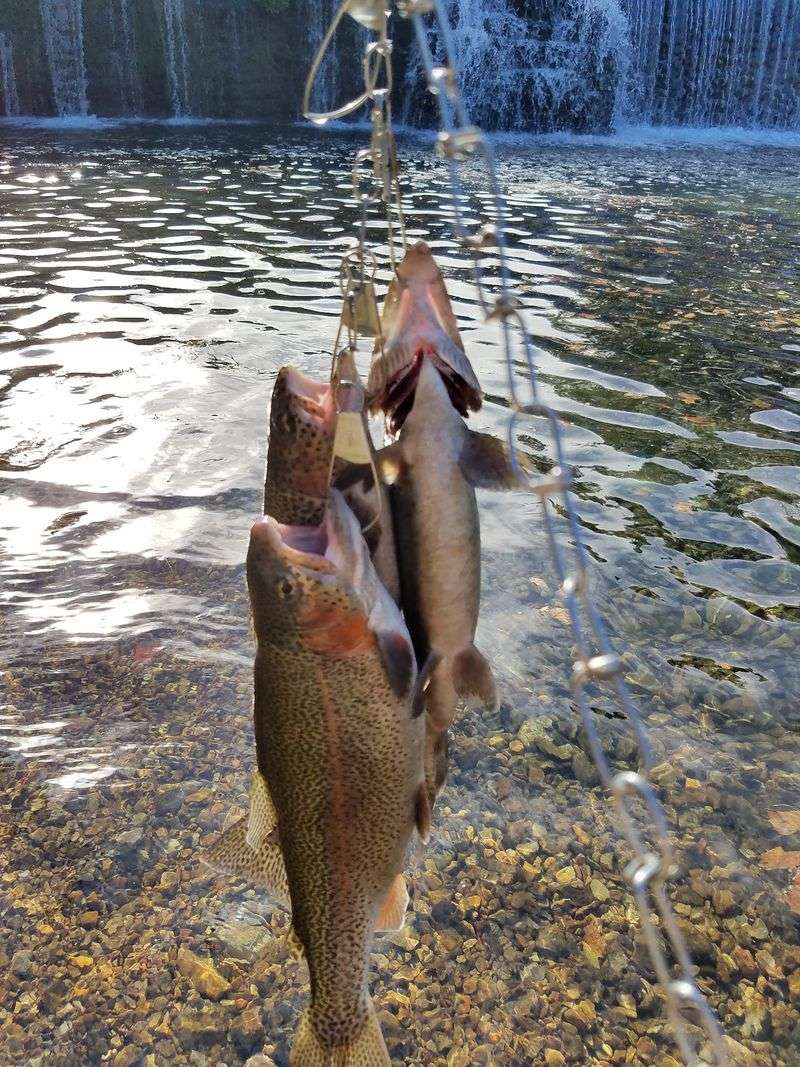 Guided Fishing Without The Intimidation