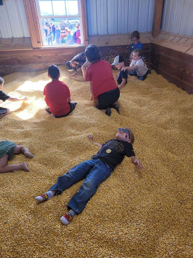 Gumballs, Slides, And A Corn Box That Kids Refuse To Leave