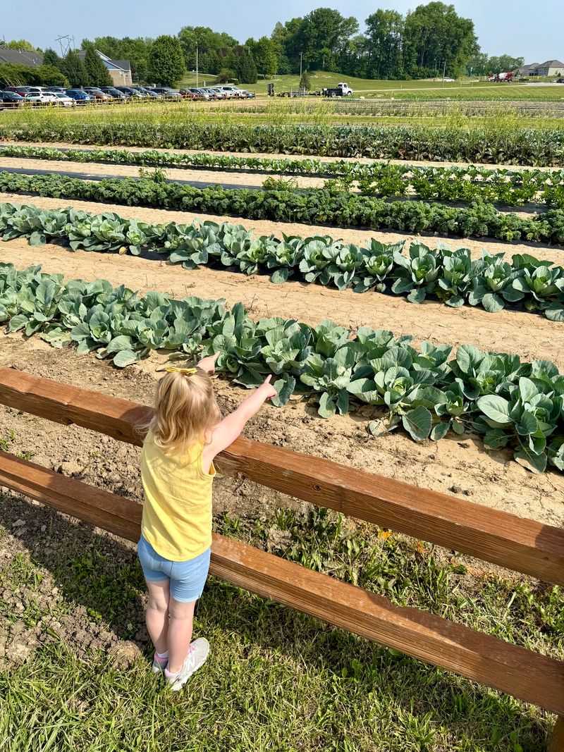Hands-On Agricultural Education for All Ages