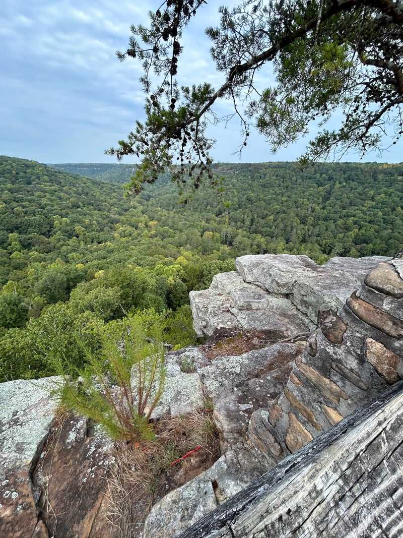 Have You Considered Riding Alabama's First State Park OHV Trail? Have You Considered Riding Alabama's First State Park OHV Trail?