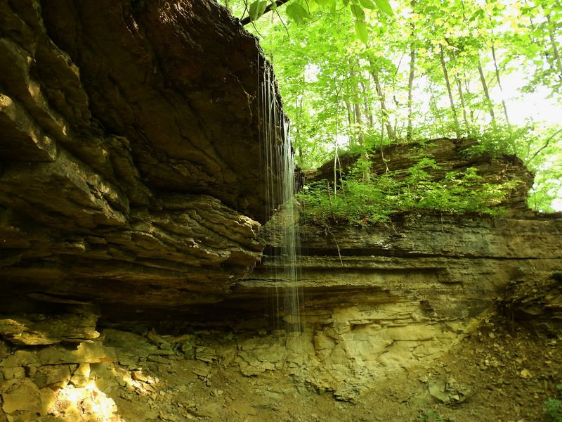 Have You Ever Hiked Through 400-Million-Year-Old Reef Fossils