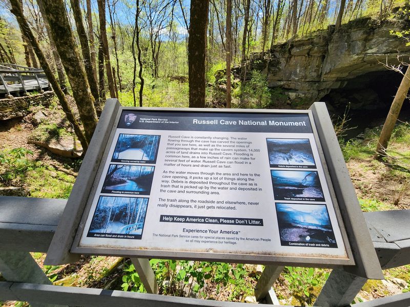Have You Ever Hiked Through a Forest Shaped by Prehistoric Hands Have You Ever Hiked Through a Forest Shaped by Prehistoric Hands