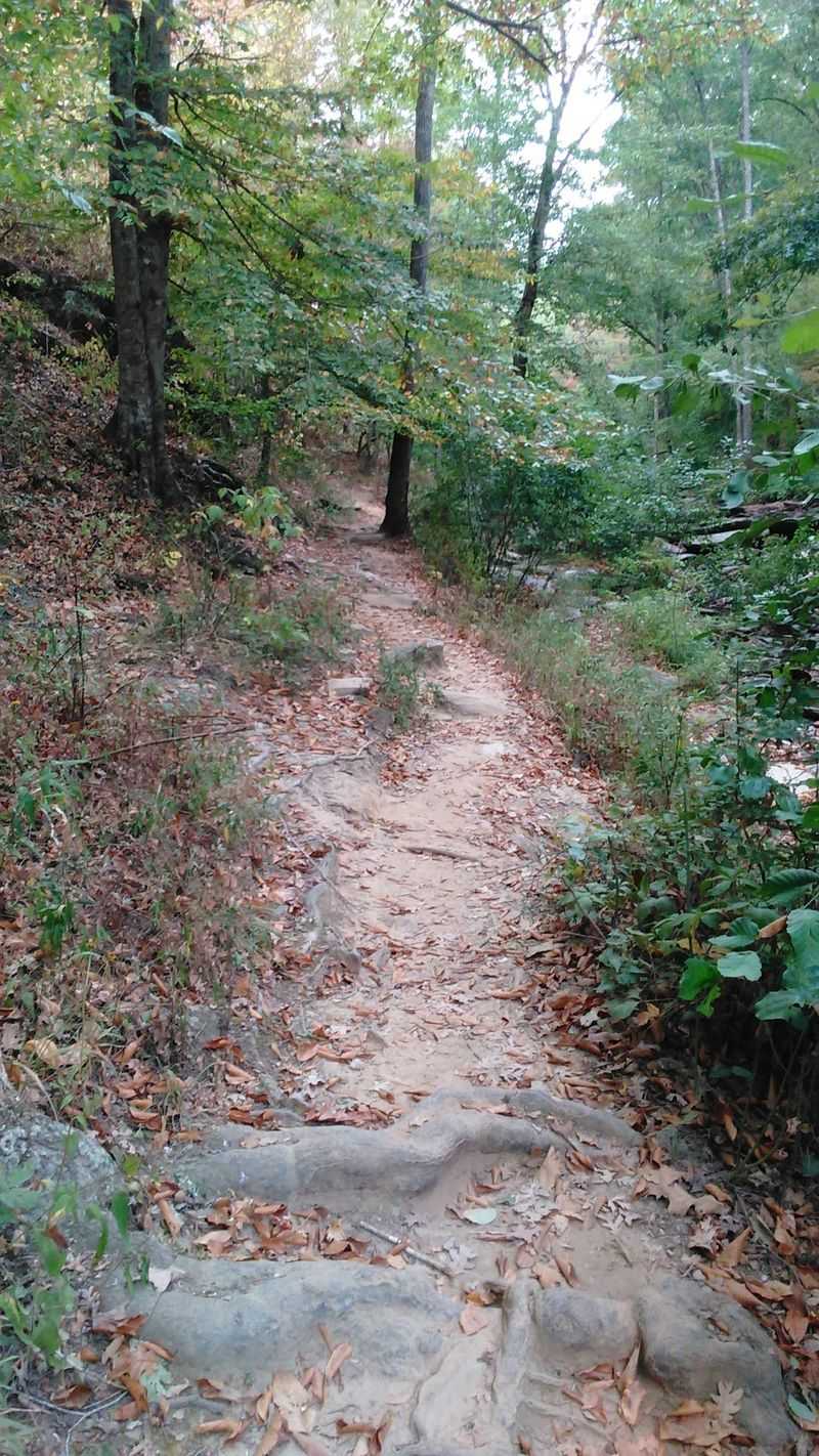 Have You Ever Hiked Through a Real Wilderness Area Like This Have You Ever Hiked Through a Real Wilderness Area Like This