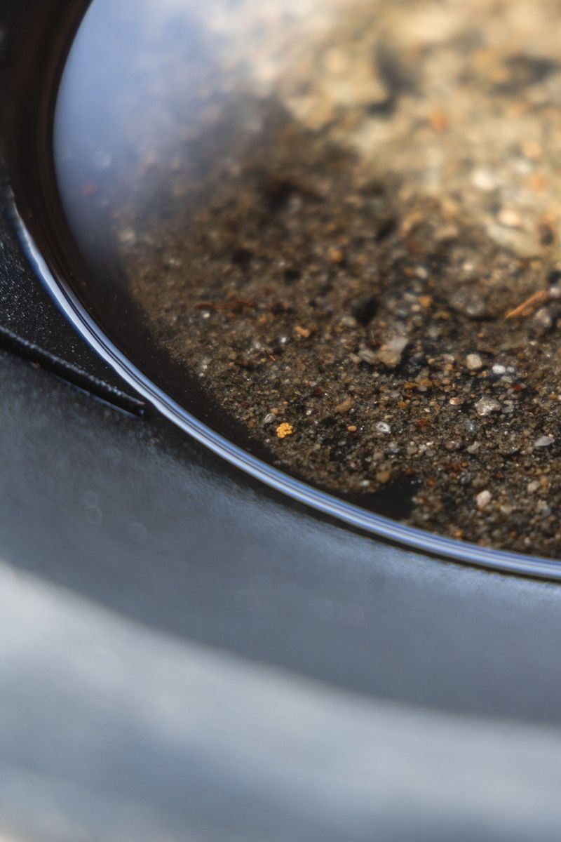 Have You Ever Tried Gold Panning in Indiana