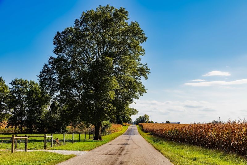 Have You Ever Truly Escaped to Rural Indiana? Have You Ever Truly Escaped to Rural Indiana?