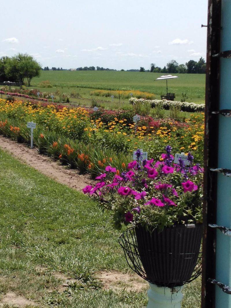 Have You Found Your New Favorite Summer Escape Yet Have You Found Your New Favorite Summer Escape Yet
