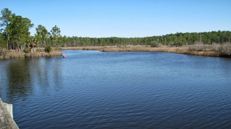 Have You Thought About Kayaking Through This Quiet Coastal Wilderness