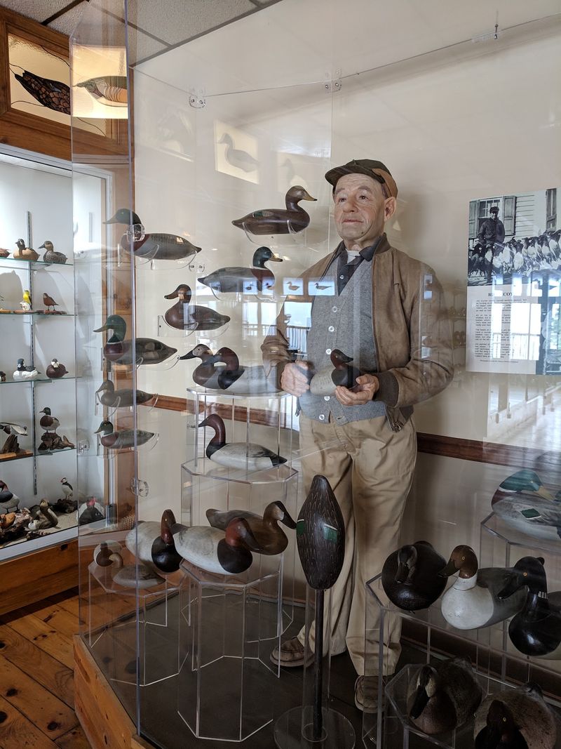 Havre de Grace Decoy Museum 