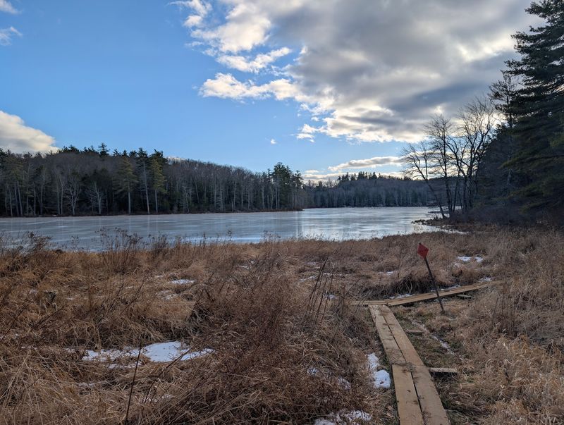 Heald Pond Puts On A Reflection Show