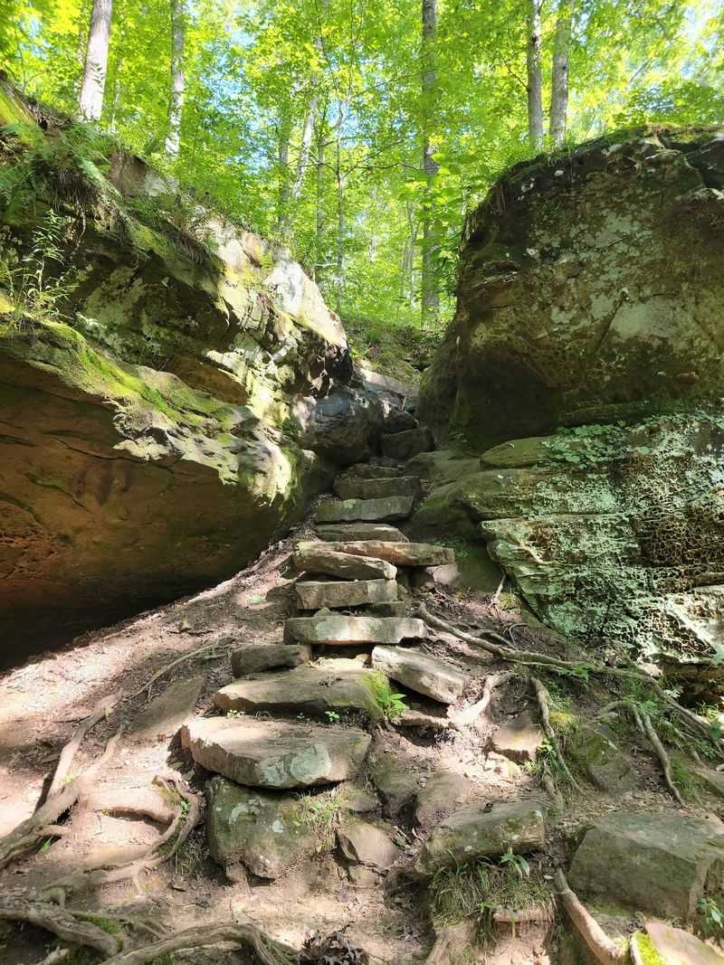 Hemlock Cliffs Nature Preserve, Indiana's Hidden Rainforest