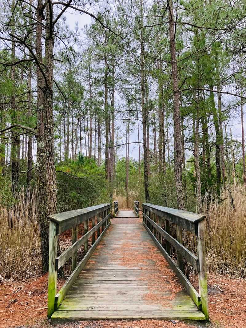 Herring Creek Nature Park Loop