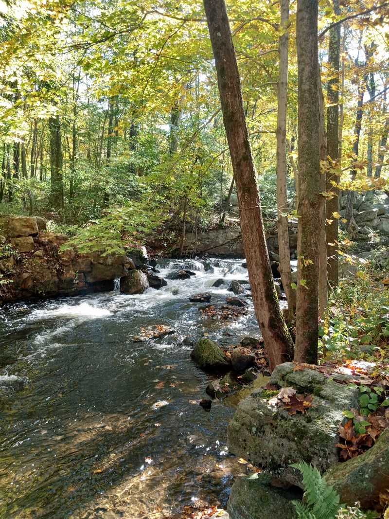 Hike Where the Bears Are