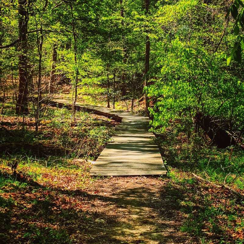 Hiking Trails Through Forest and Bay Views