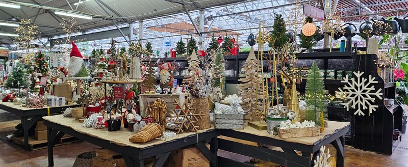 Home Decor, Gifts, and Seasonal Finds