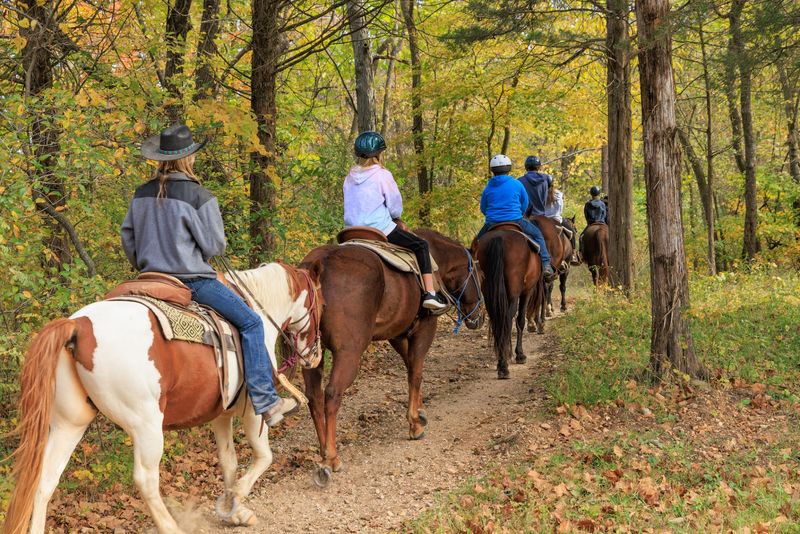 Horseback Trail Rides Through The Woods Horseback Trail Rides Through The Woods