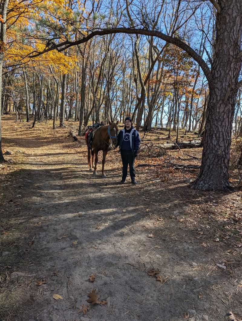 Horses, Roots, And Rocky Footing To Watch For