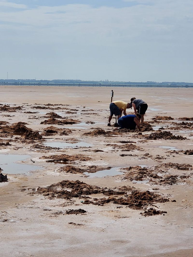 How Digging Connects To Refuge Wildlife How Digging Connects To Refuge Wildlife