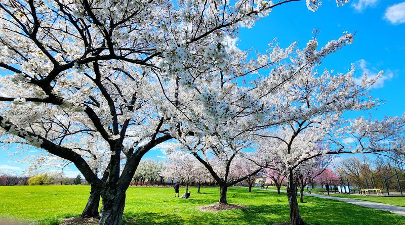 How Each Season Rewrites The Scenery How Each Season Rewrites The Scenery