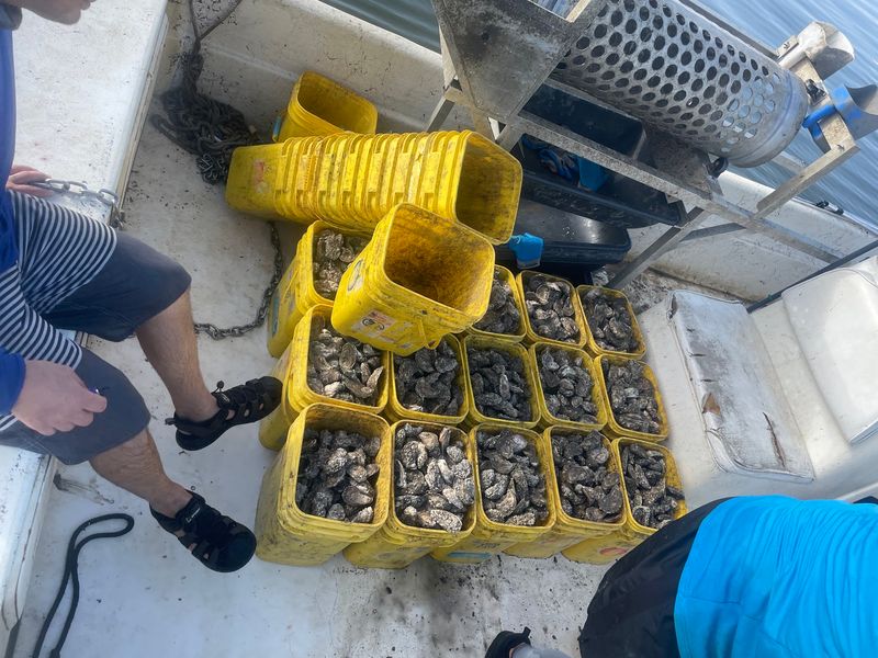 How a Marine Biologist Built a Farm in the Lagoon How a Marine Biologist Built a Farm in the Lagoon