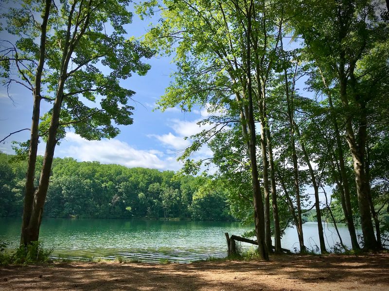 How to Access Liberty Reservoir and Plan Your Visit