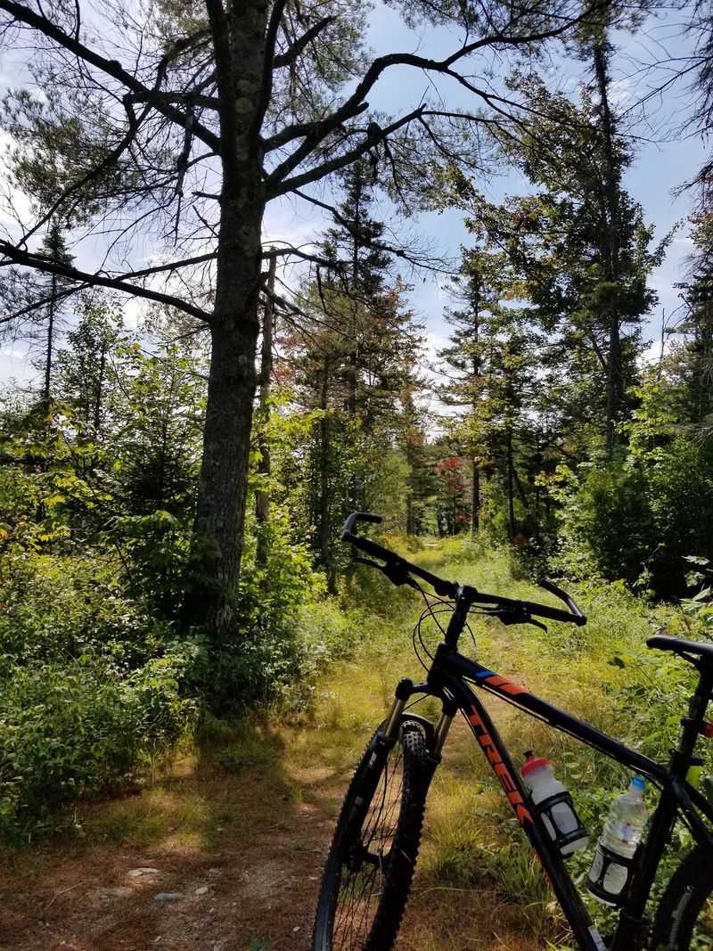 How to Actually Get There - And What to Expect How to Actually Get There - And What to Expect