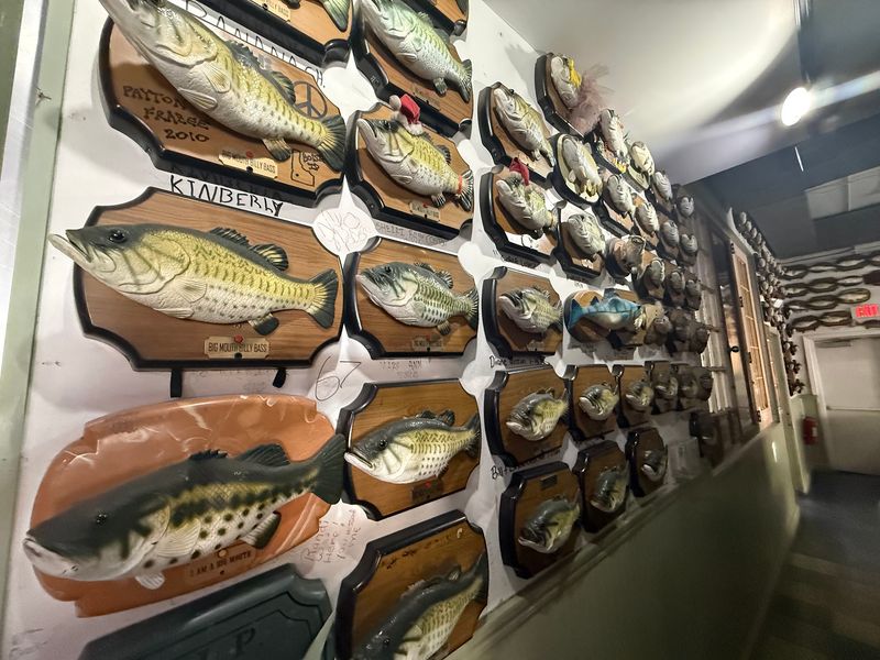 Hundreds of Fish, Zero Batteries Hundreds of Fish, Zero Batteries