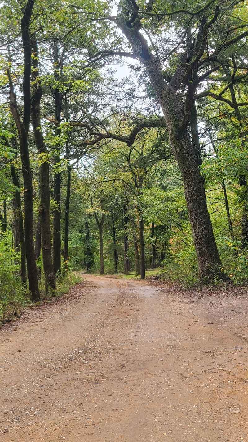 Hunting Grounds Hiding In The Same Woods Hunting Grounds Hiding In The Same Woods