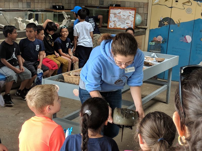 Indoor Exhibits, Aquaria, And Resident Animals Indoor Exhibits, Aquaria, And Resident Animals