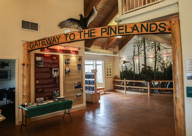Inside The Gateway To The Pines Nature Center