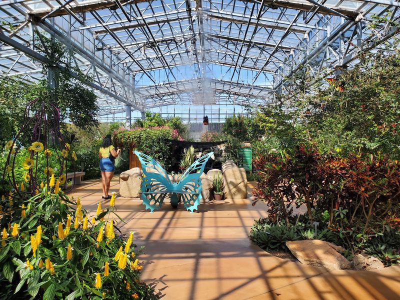 Inside the Glass Atrium Where Thousands of Butterflies Rule