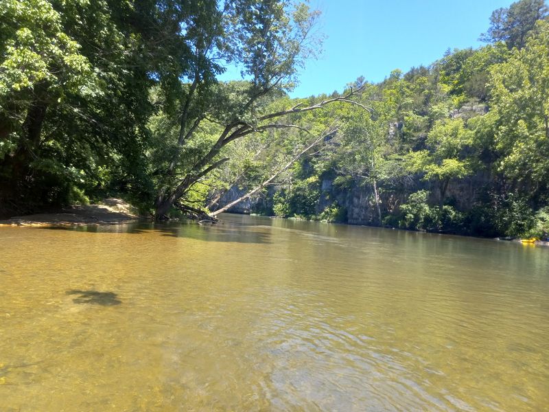Jadwin Canoe Rental