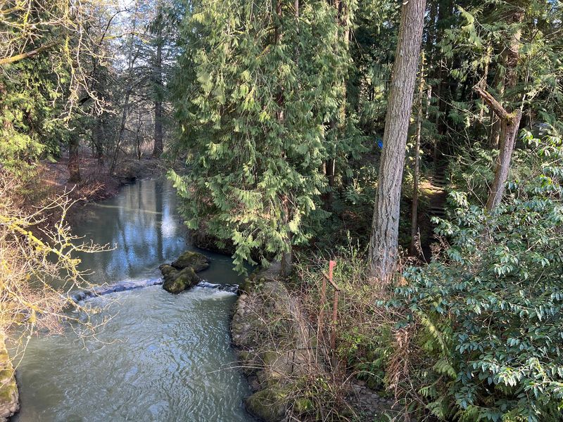 Johnson Creek and the Riparian Pathways