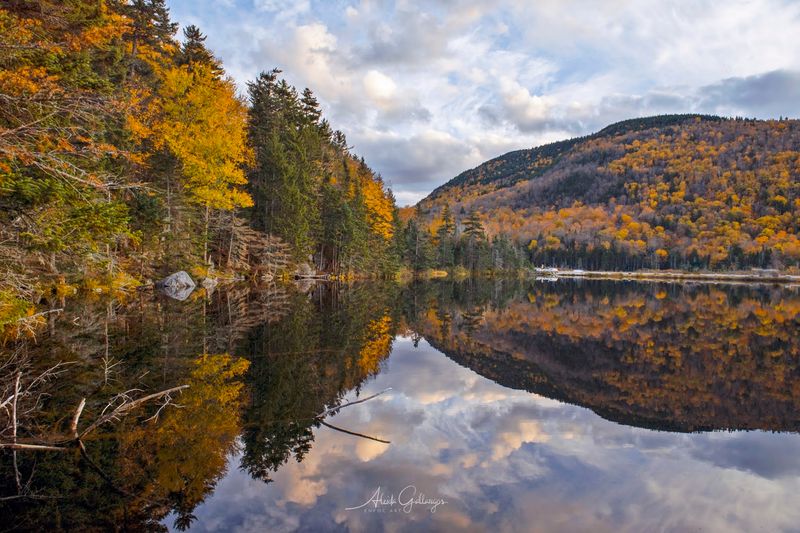 Kancamagus Highway and the Drive That Rewires Your Brain