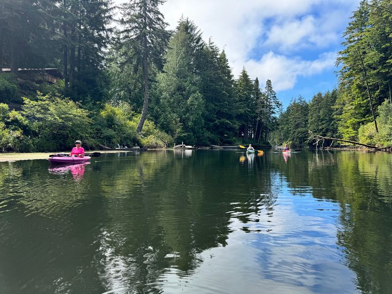 Kayaking Through Hidden Channels and Quiet Coves