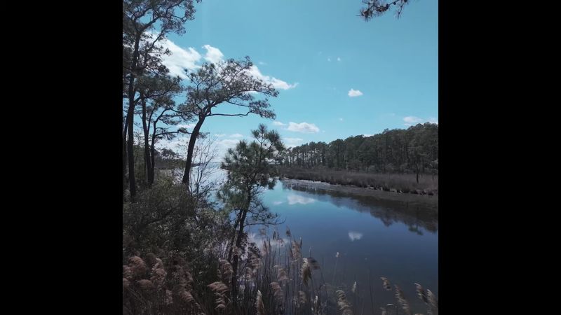 Kayaking Through the Back Bay Wilderness