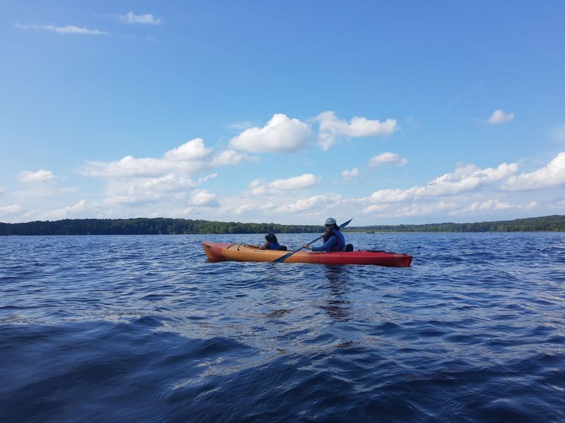 Kayaking and Paddling on Pohick Bay