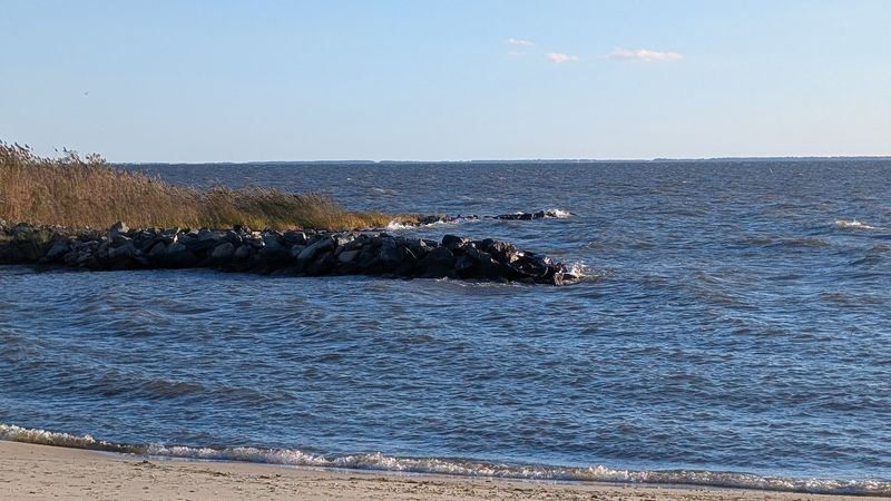 Kayaking and Paddling on the Bay, No Experience Needed Kayaking and Paddling on the Bay, No Experience Needed