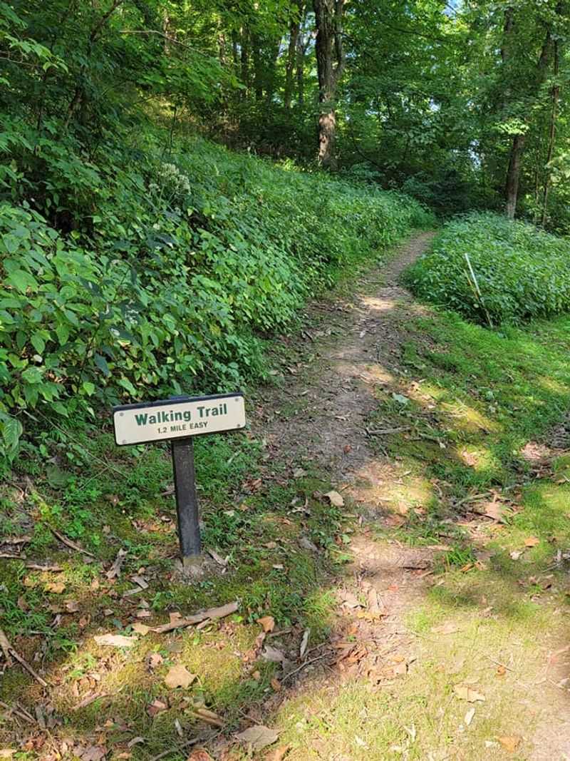 Kayaks, Bikes, And Disc Golf On The Grounds