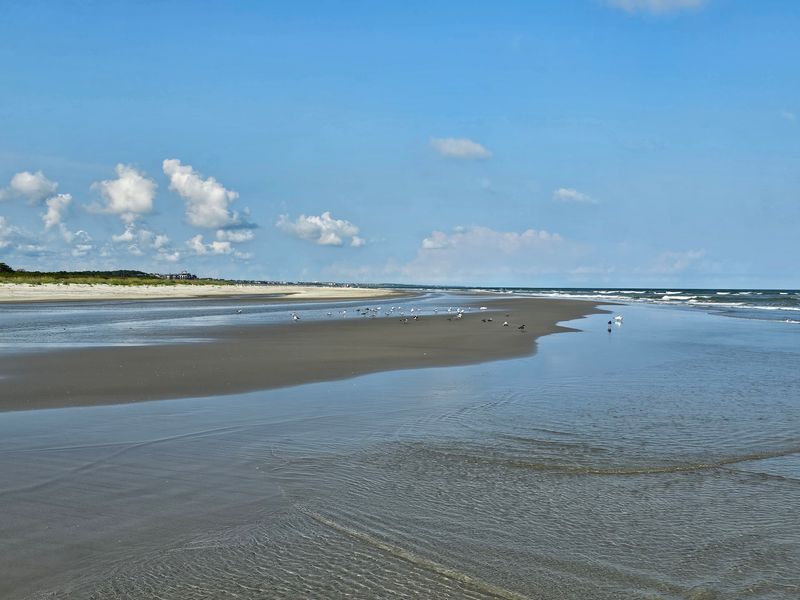 Kiawah Island, Ten Miles of Guarded Shoreline Kiawah Island, Ten Miles of Guarded Shoreline