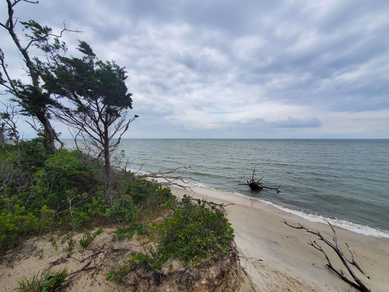 Kiptopeke State Park and the Joy of Untouched Nature Kiptopeke State Park and the Joy of Untouched Nature
