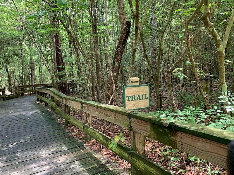 Kirby Nature Trail, Big Thicket National Preserve Kirby Nature Trail, Big Thicket National Preserve