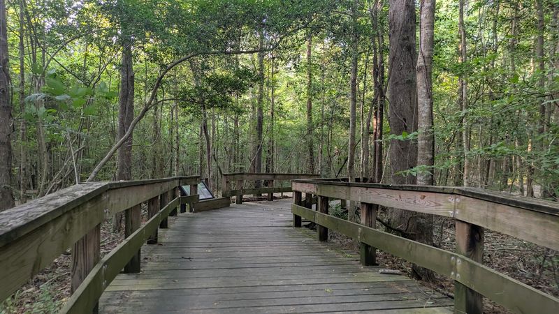Kirby Nature Trail, Big Thicket National Preserve Kirby Nature Trail, Big Thicket National Preserve