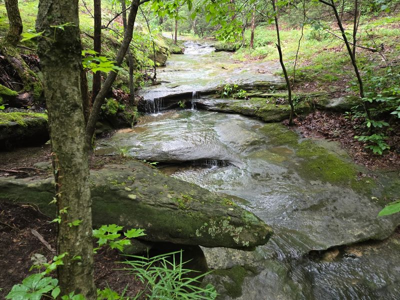 LaBarque Creek, Small Waterfalls, And The Best Time To Catch Them LaBarque Creek, Small Waterfalls, And The Best Time To Catch Them